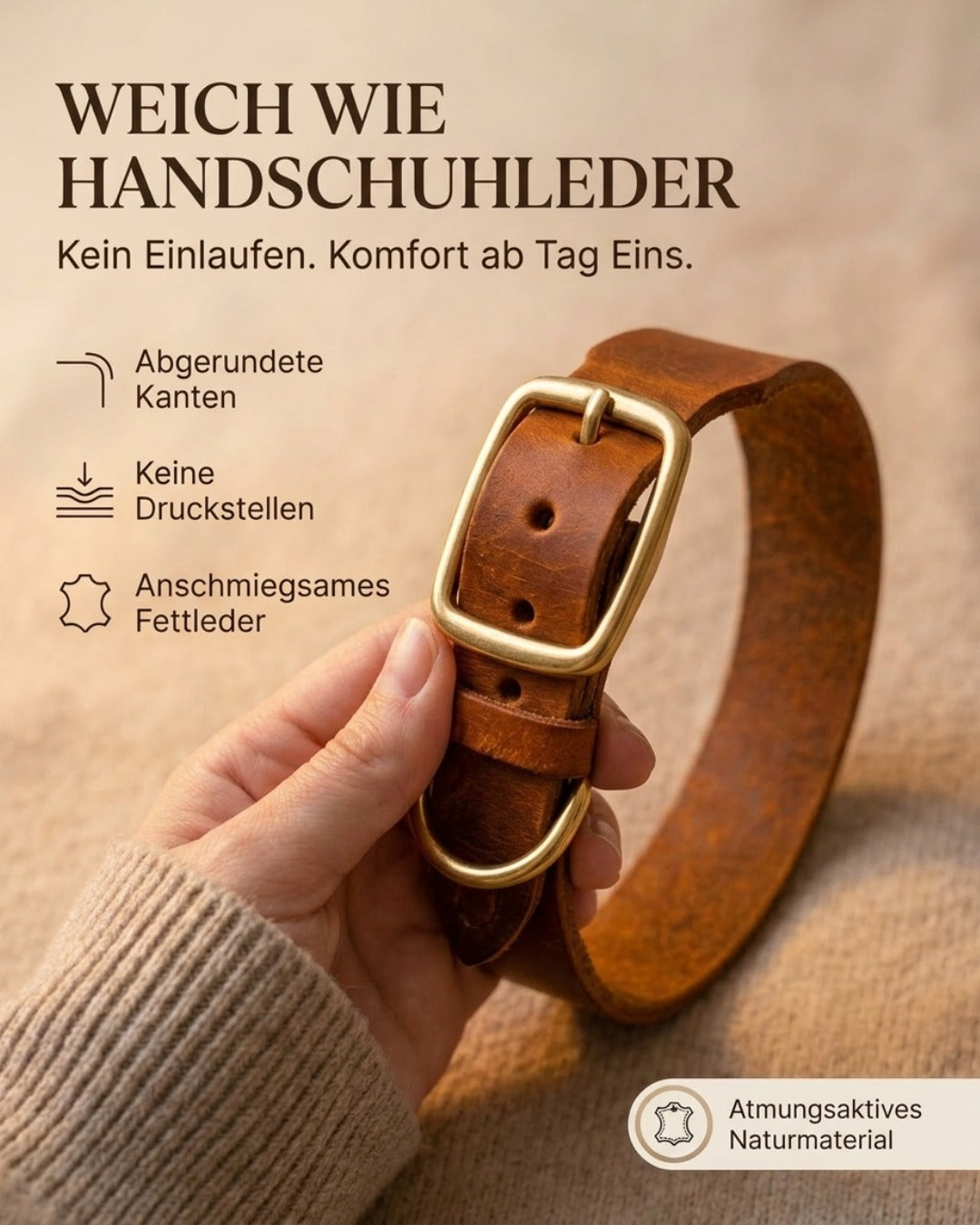 Welpen-Special: Set | Welpenhalsband & Tauleine inkl. 25% Gutschein