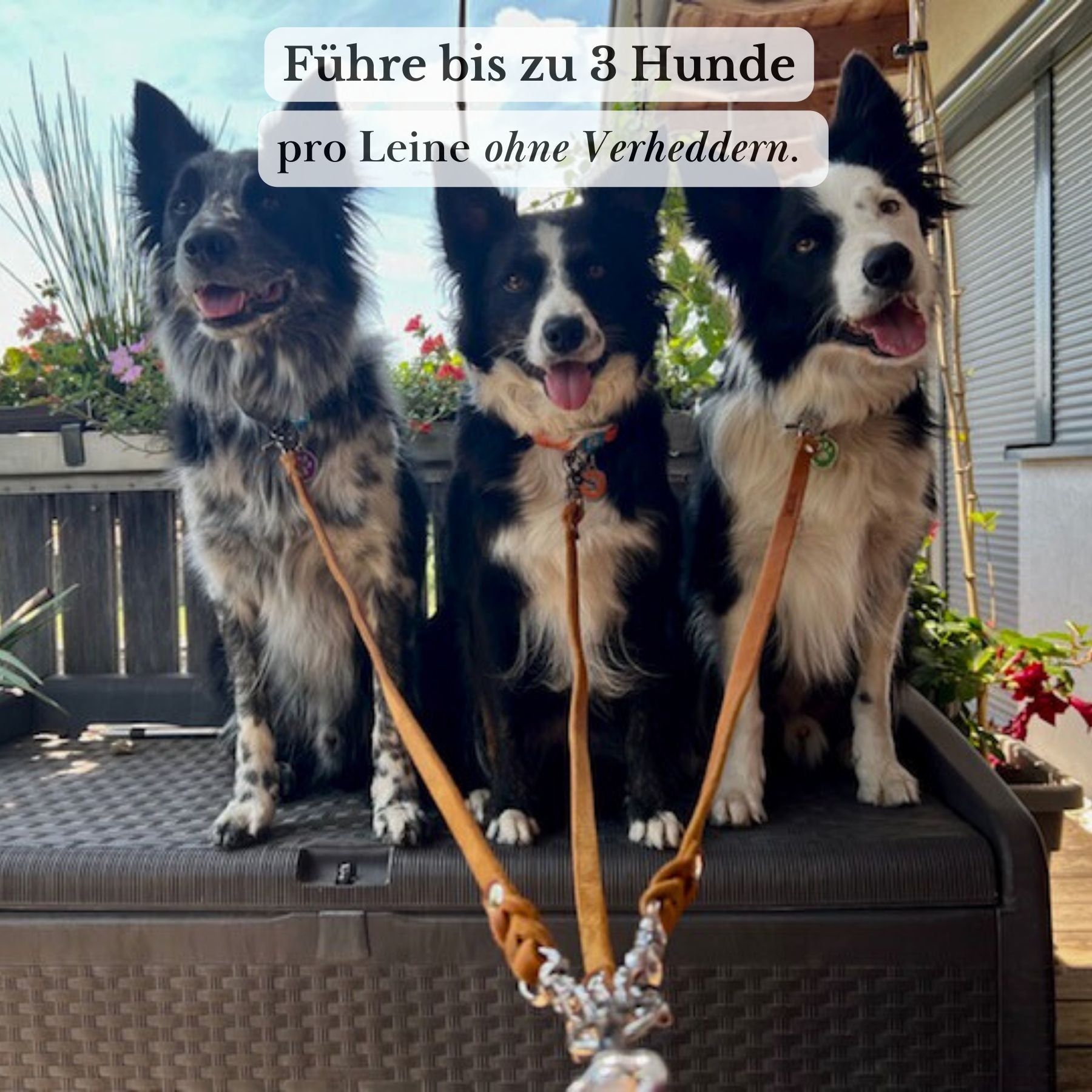 Verbindungsteil aus Leder für mehrere Hunde an einer Leine (1 Stück)