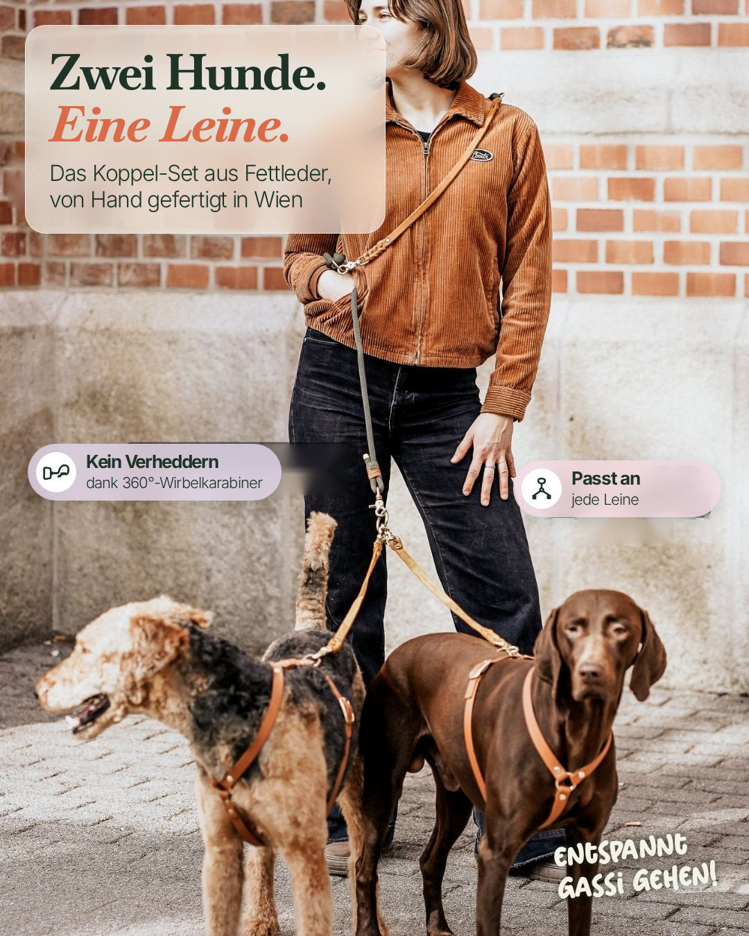 Zwei Hunde, eine Leine: Komplett-Set Verbindungsteile aus Leder mit 360°-Wirbelkarabinern, passt an jede Leine