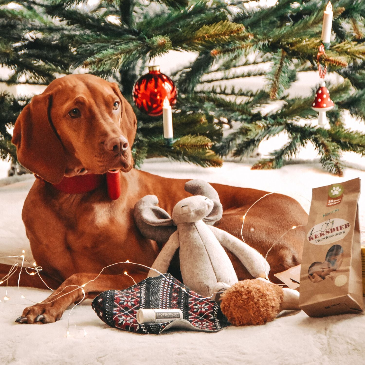 SPECIAL Weihnachts-Geschenk Box 🎁