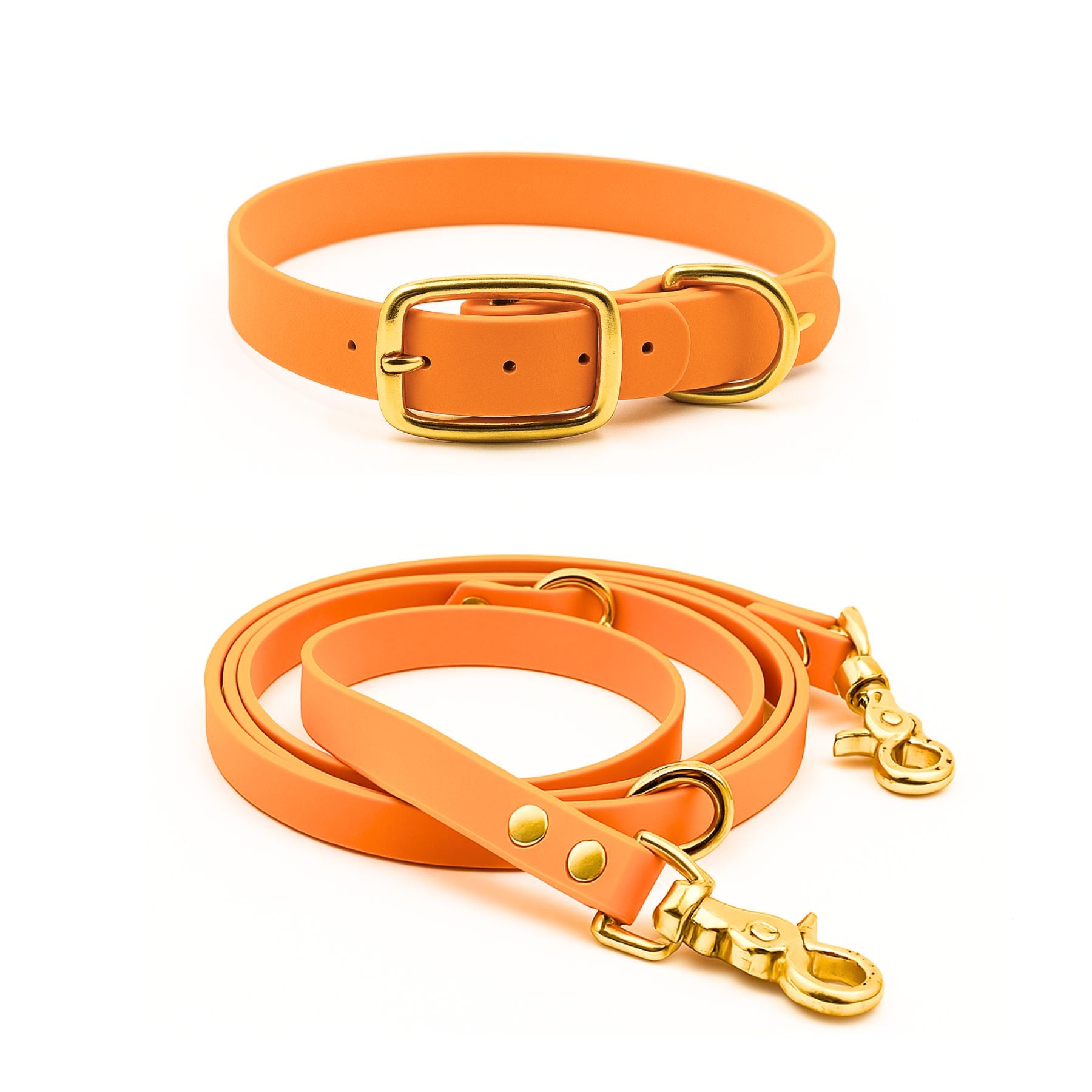 Set | Halsband & Leine aus Biothane® 'Clementine'