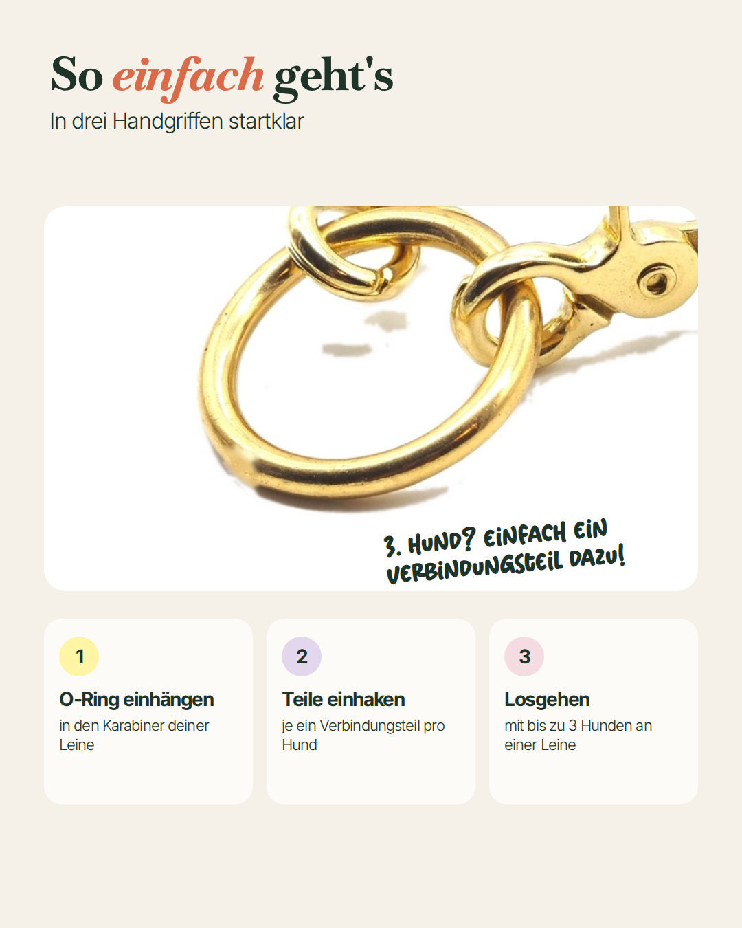 So funktioniert das Koppelsystem: O-Ring einhängen, Verbindungsteile einhaken, losgehen