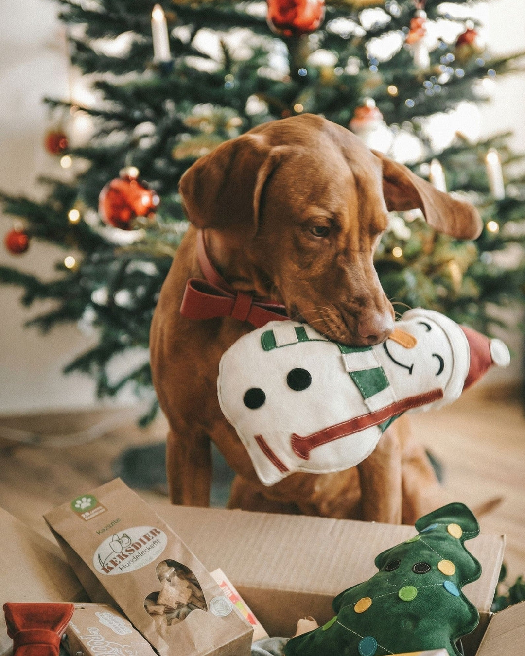 SPECIAL Weihnachts-Geschenk Box 🎁