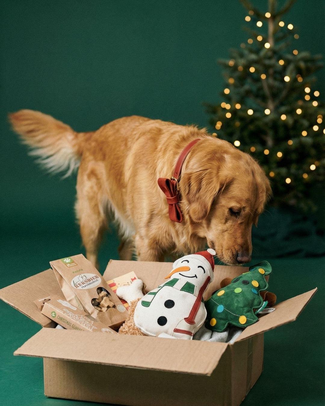 SPECIAL Weihnachts-Geschenk Box 🎁