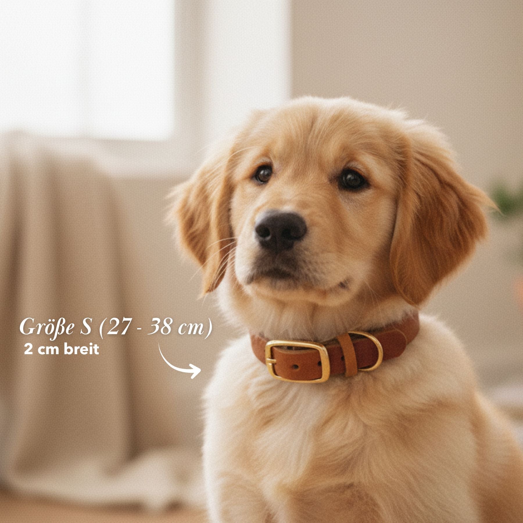 Personalisierbares Welpenhalsband aus Fettleder