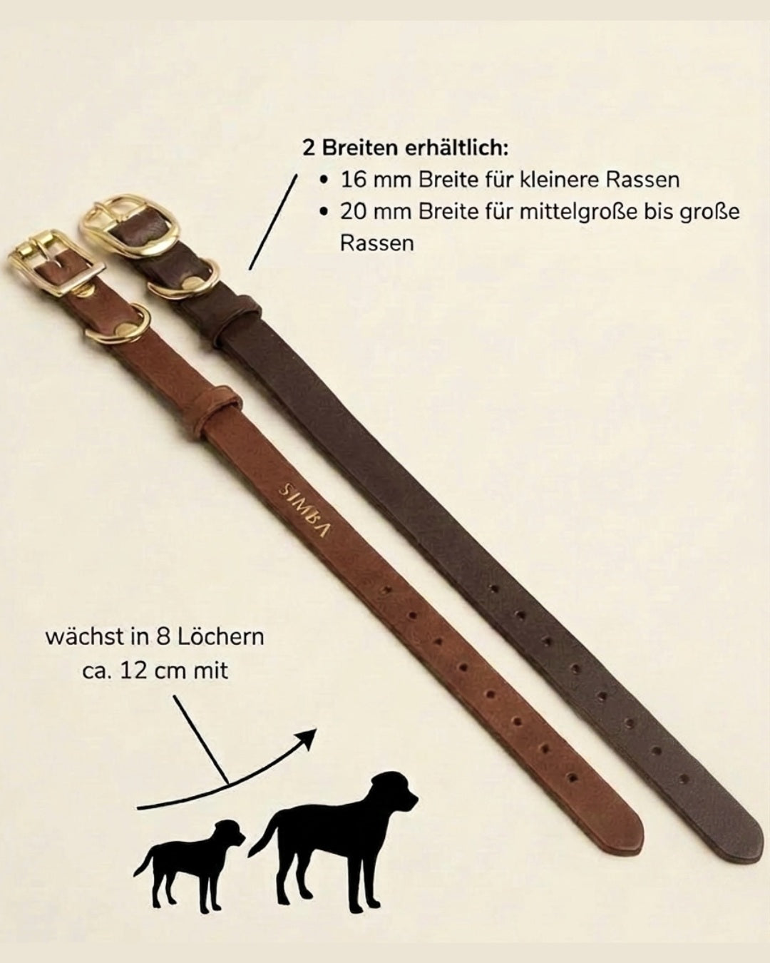 Welpen-Special: Set | Welpenhalsband & Tauleine inkl. 25% Gutschein