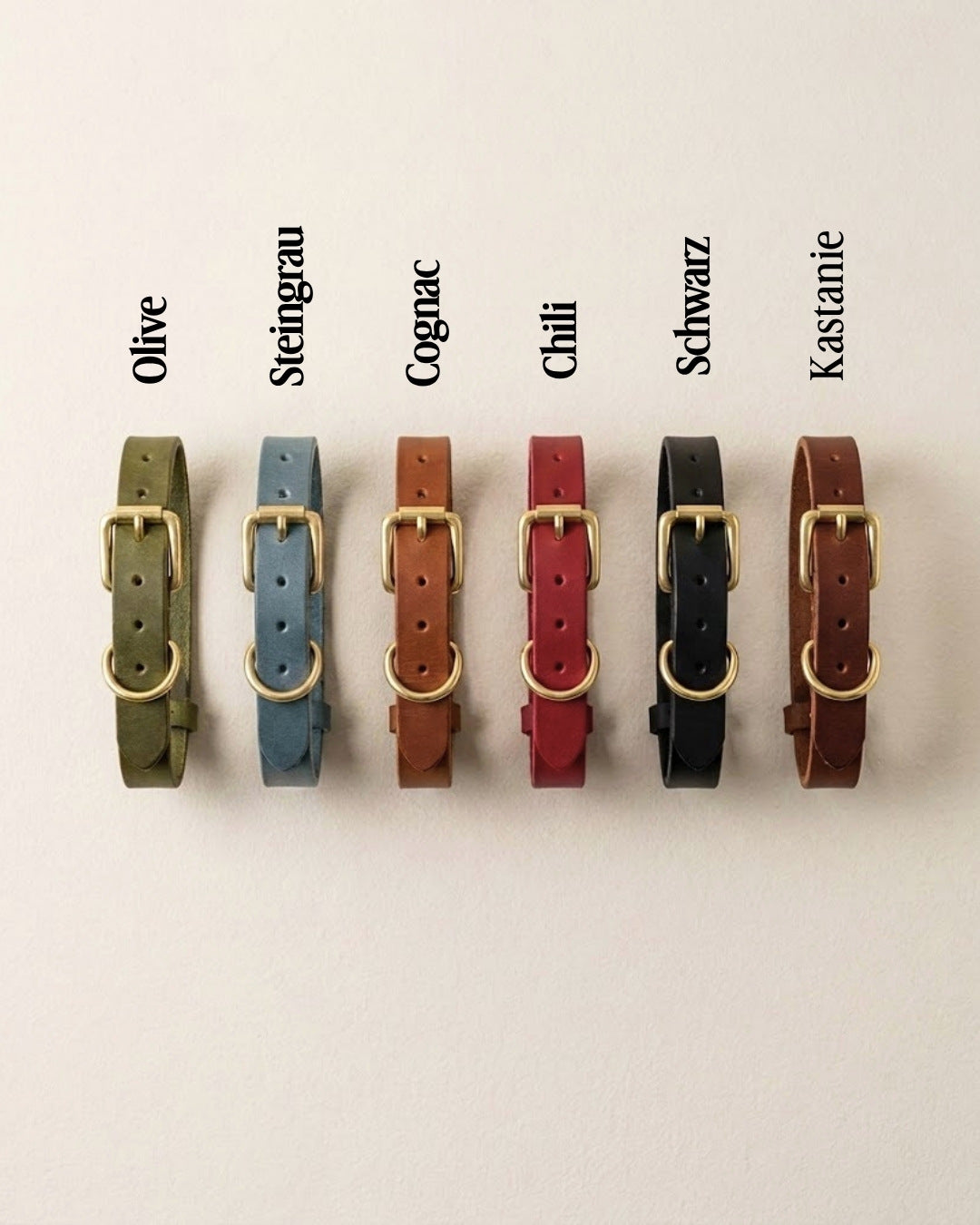 Welpen-Special: Set | Welpenhalsband & Tauleine inkl. 25% Gutschein