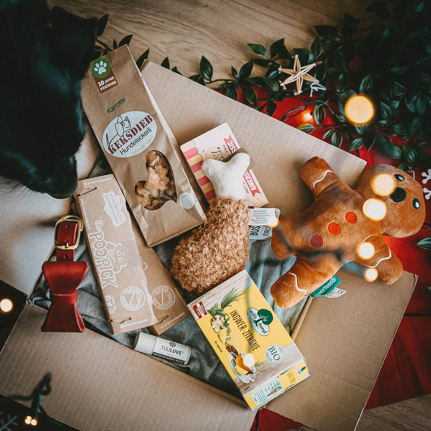 SPECIAL Weihnachts-Geschenk Box 🎁